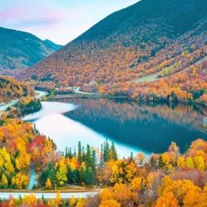 Meet your Posher, Mia